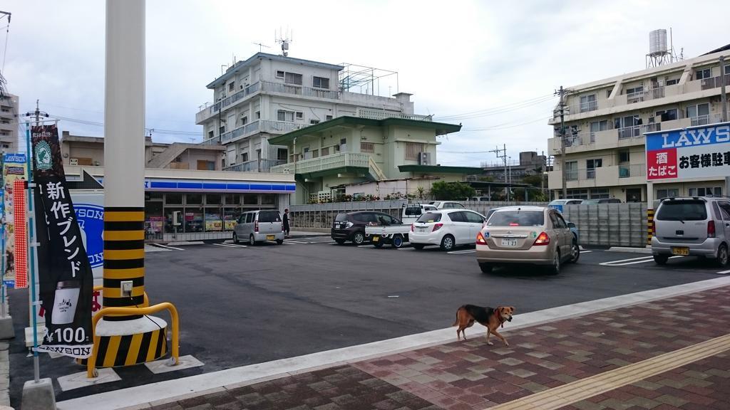 Koza Share House Hotel Okinawa Ngoại thất bức ảnh